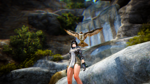 Konijntje the cute tamer with her pet hawk ^^