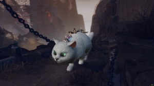 Riding the cat together!