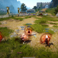 PvP Training Fun!