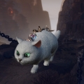 Riding the cat together!