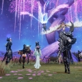 Guild Marriage 2